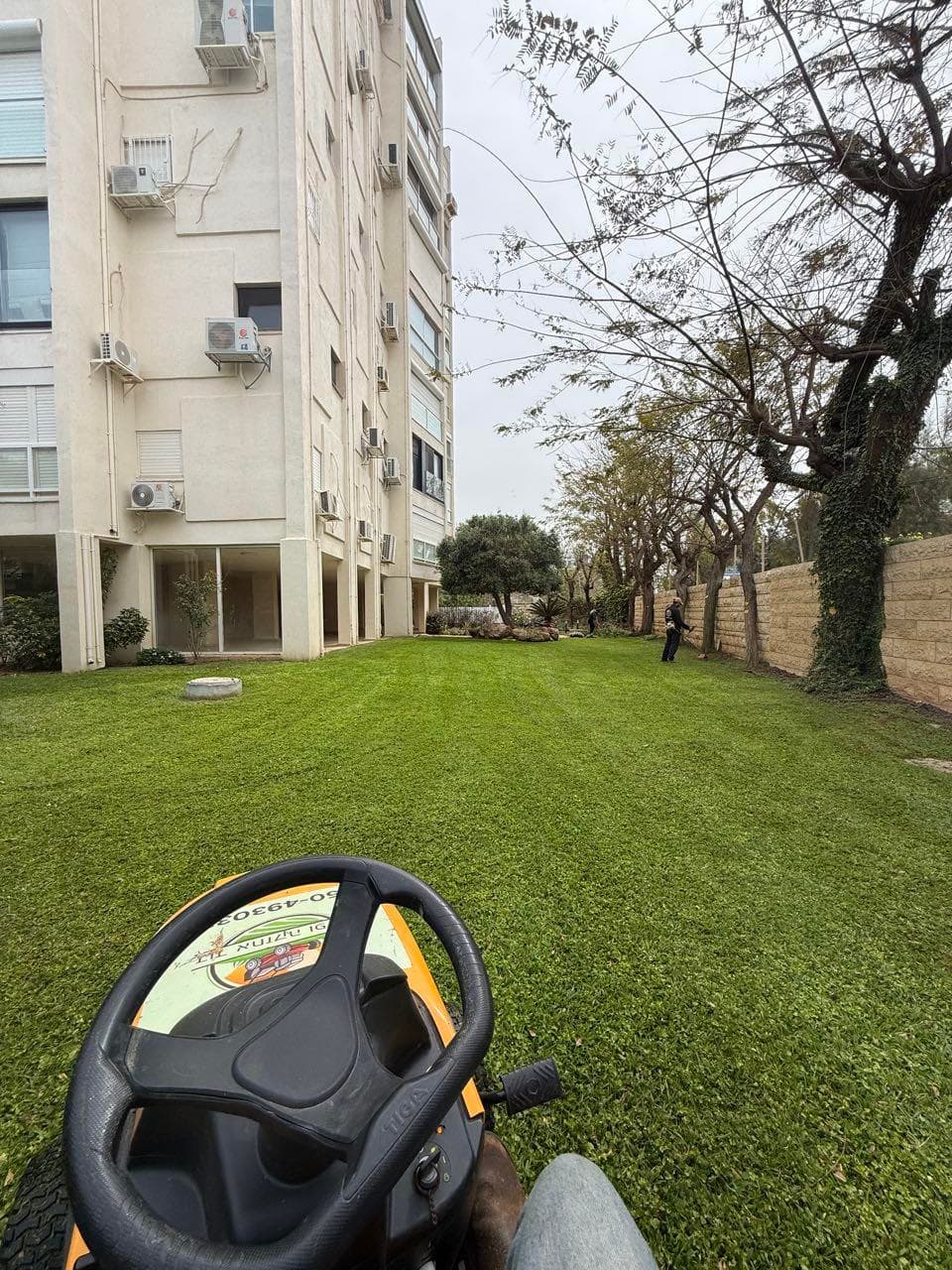 עיצוב נוף