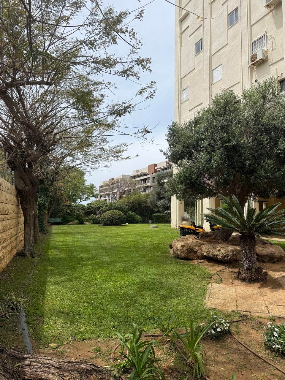 גינה מושלמת